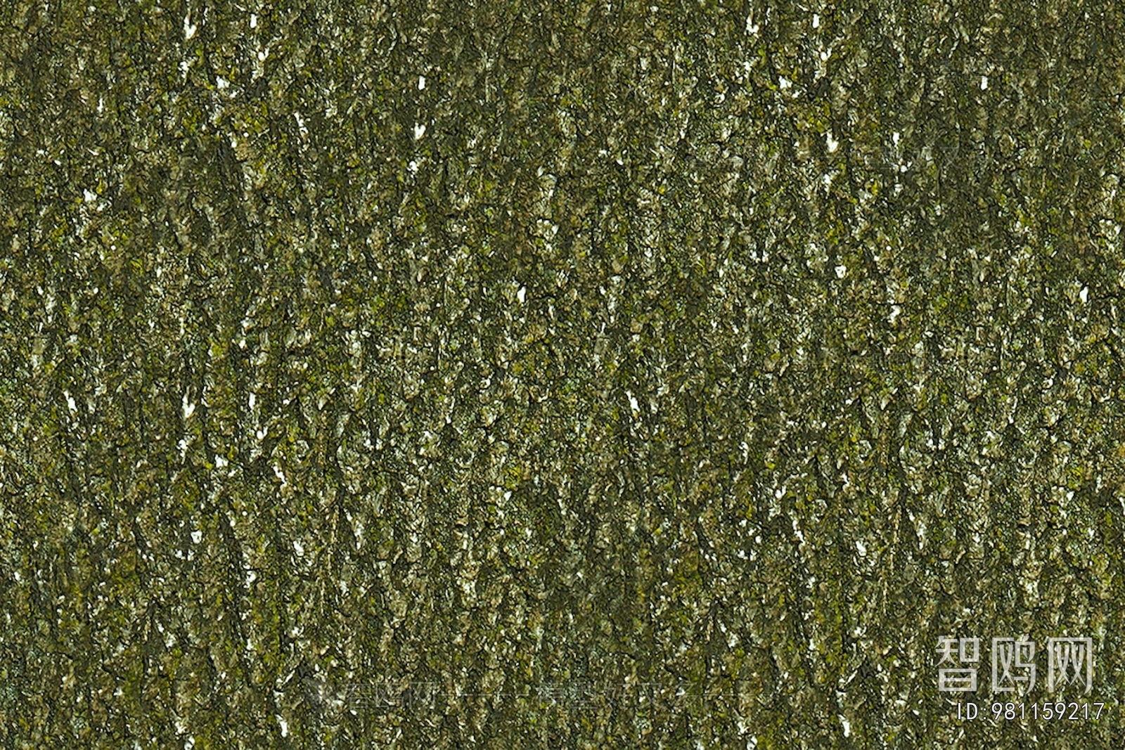 Bark Texture