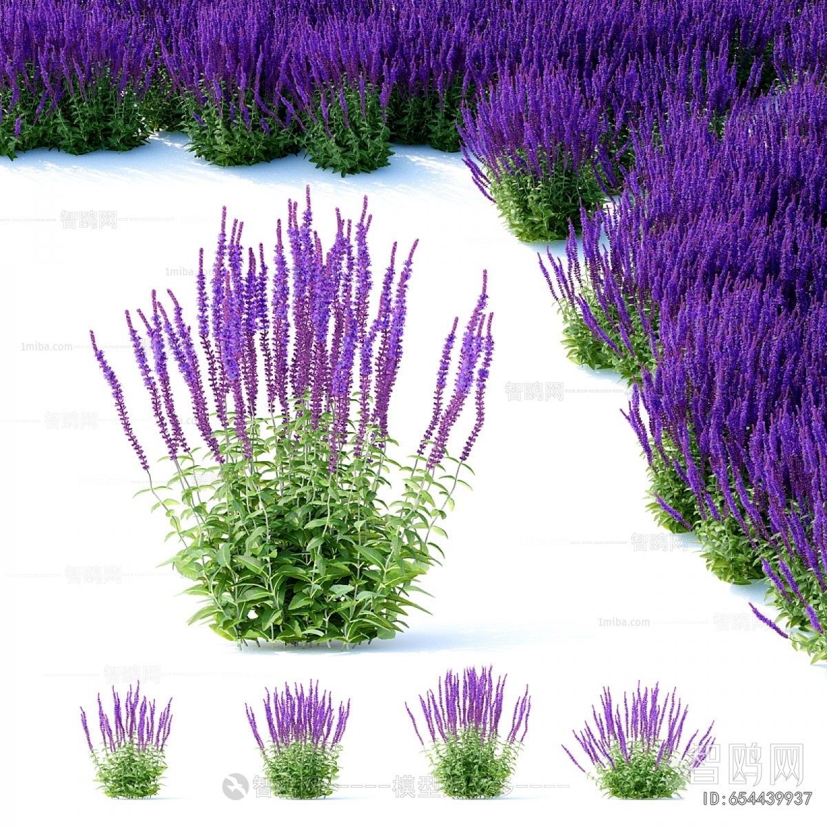 Modern Flowers And Grass