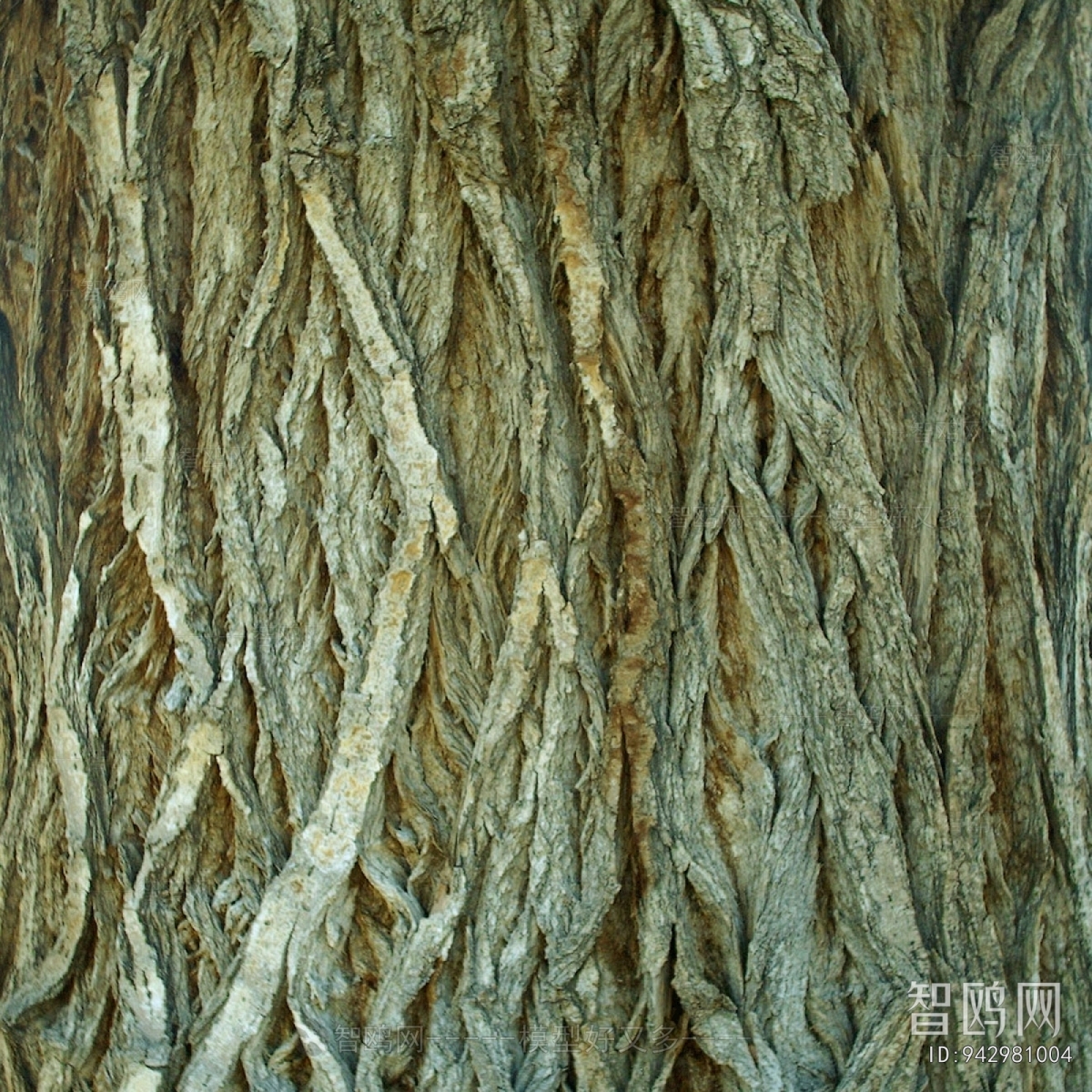 Bark Texture
