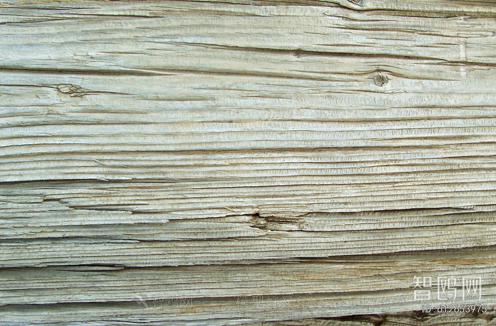 Bark Texture
