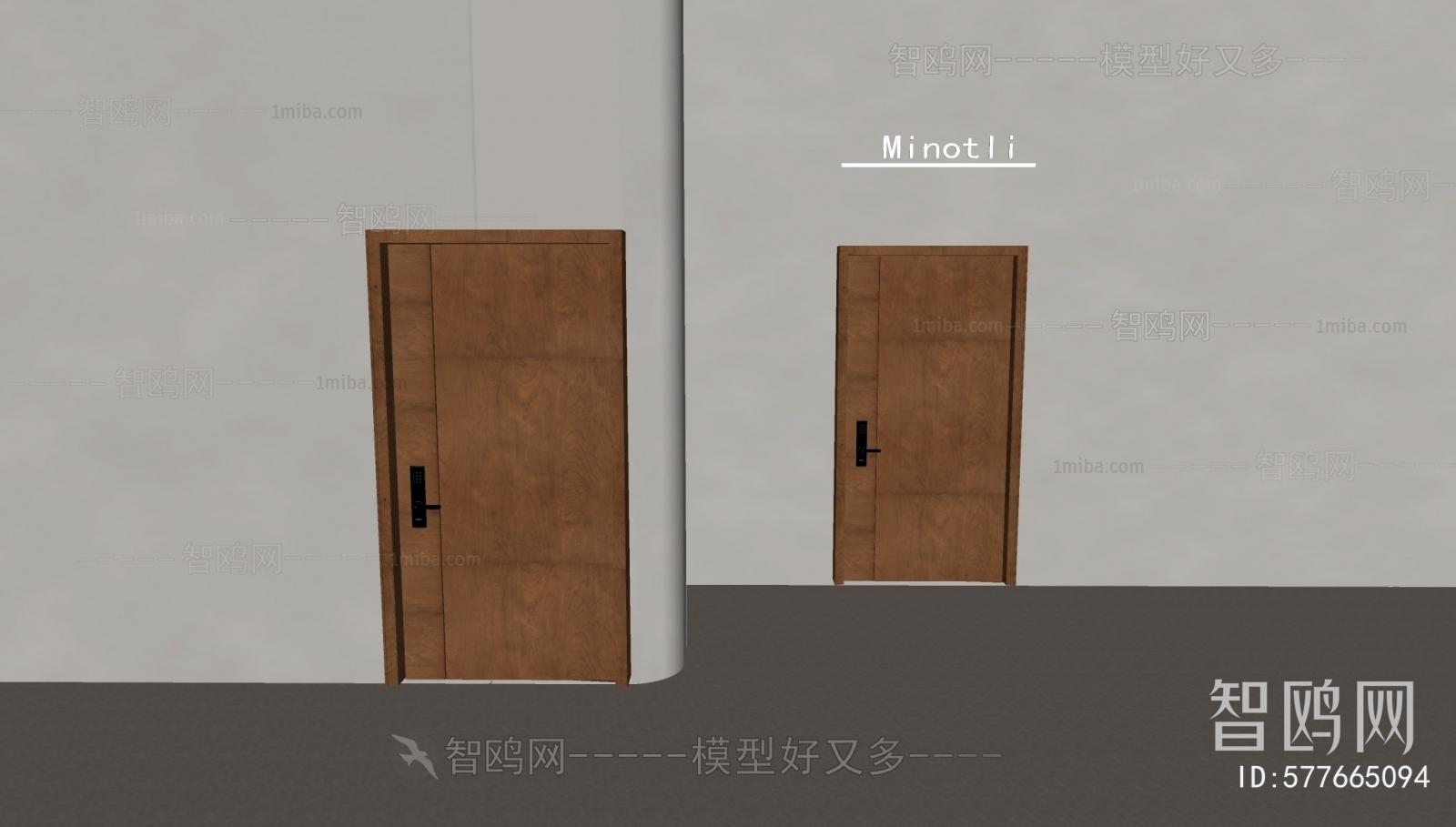 Modern Entrance Door