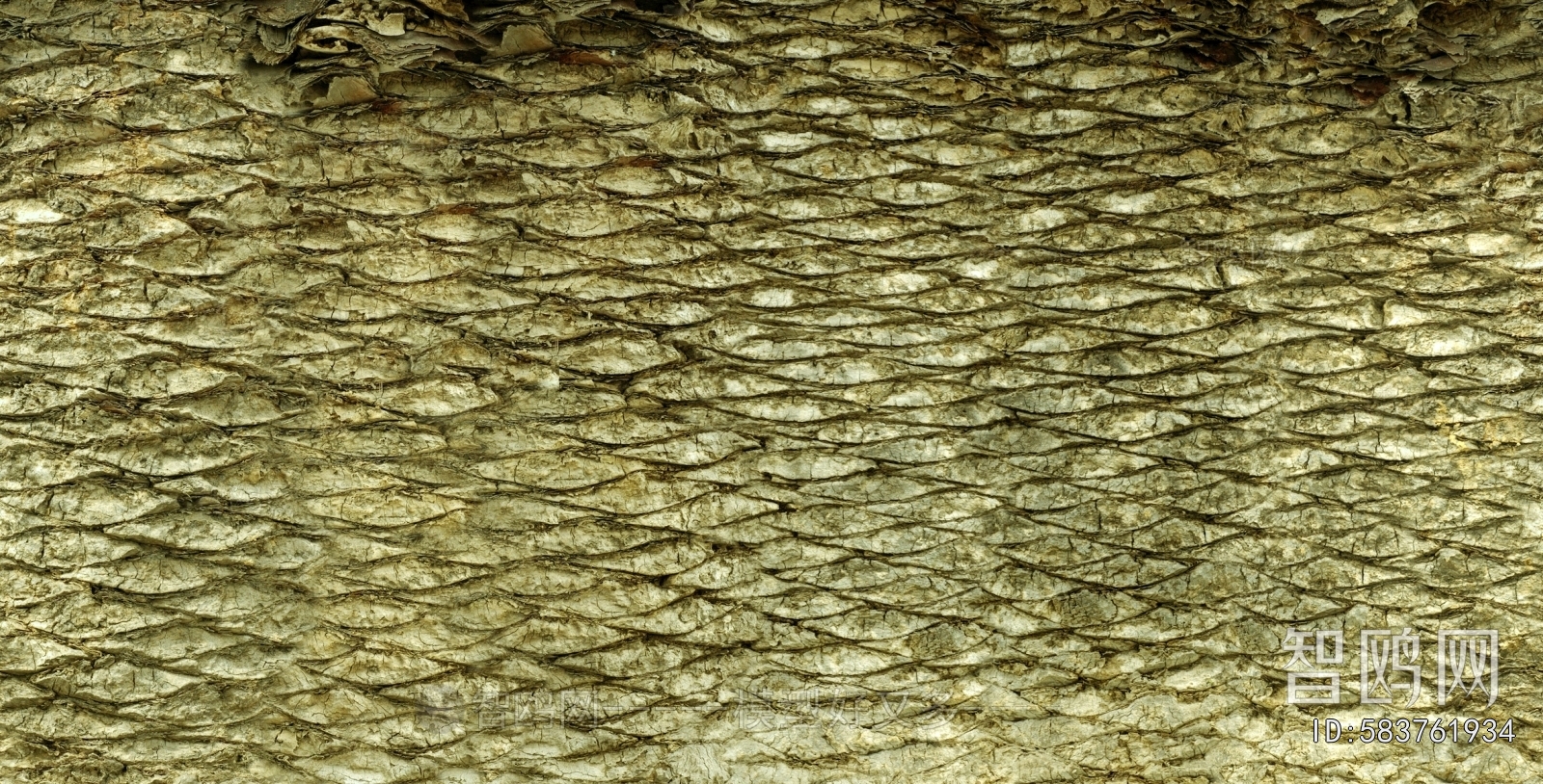 Bark Texture