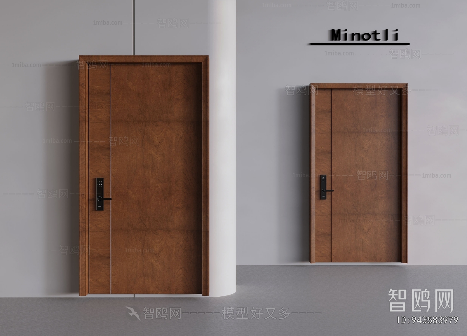 Modern Entrance Door