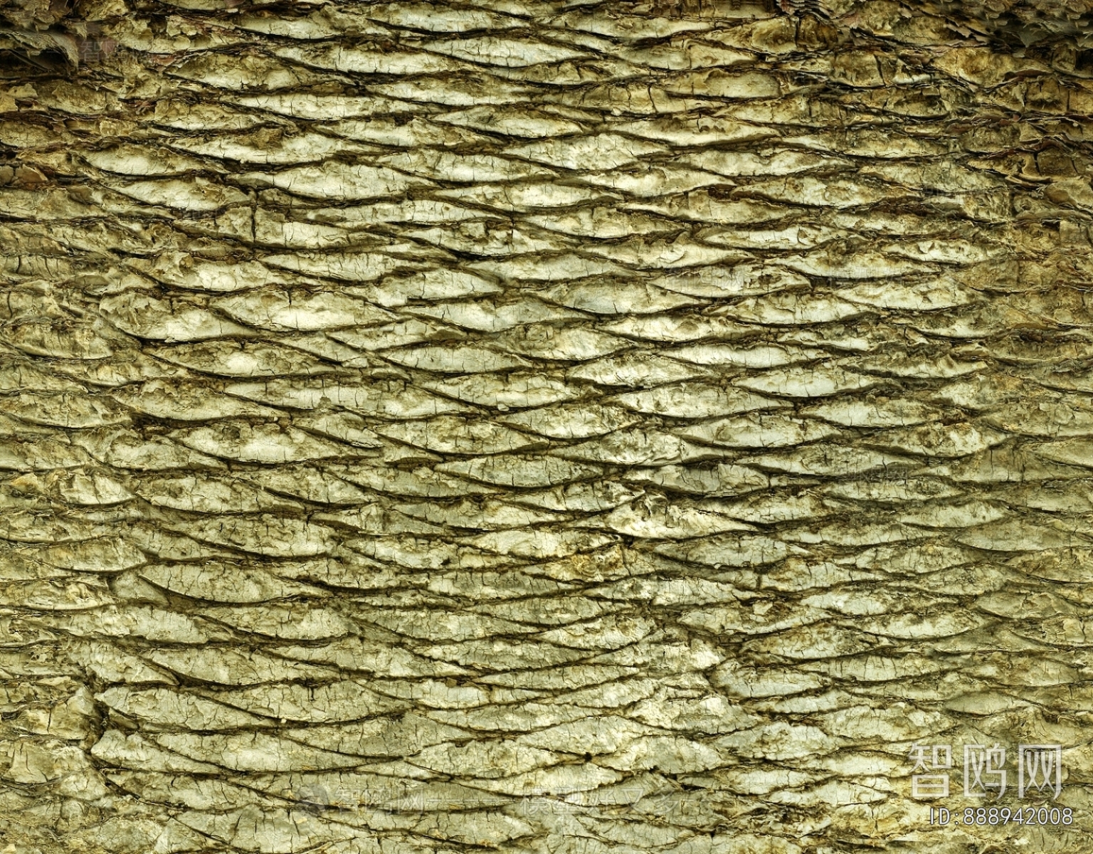 Bark Texture