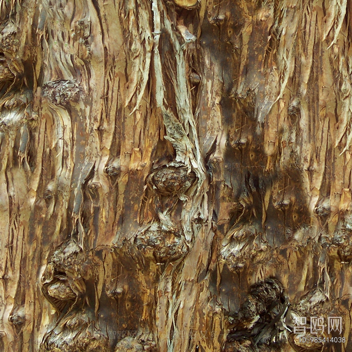 Bark Texture