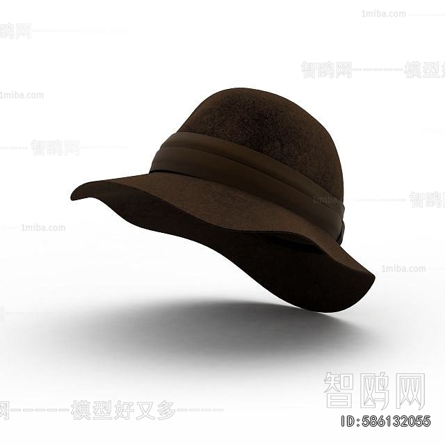 Modern Hat