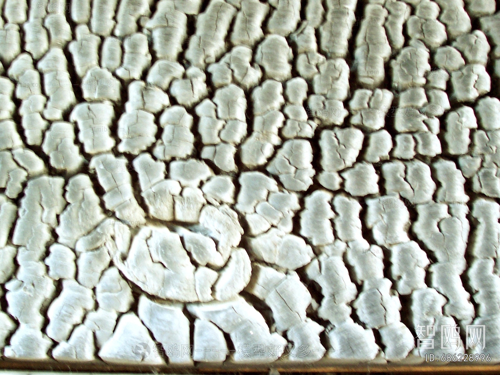 Bark Texture