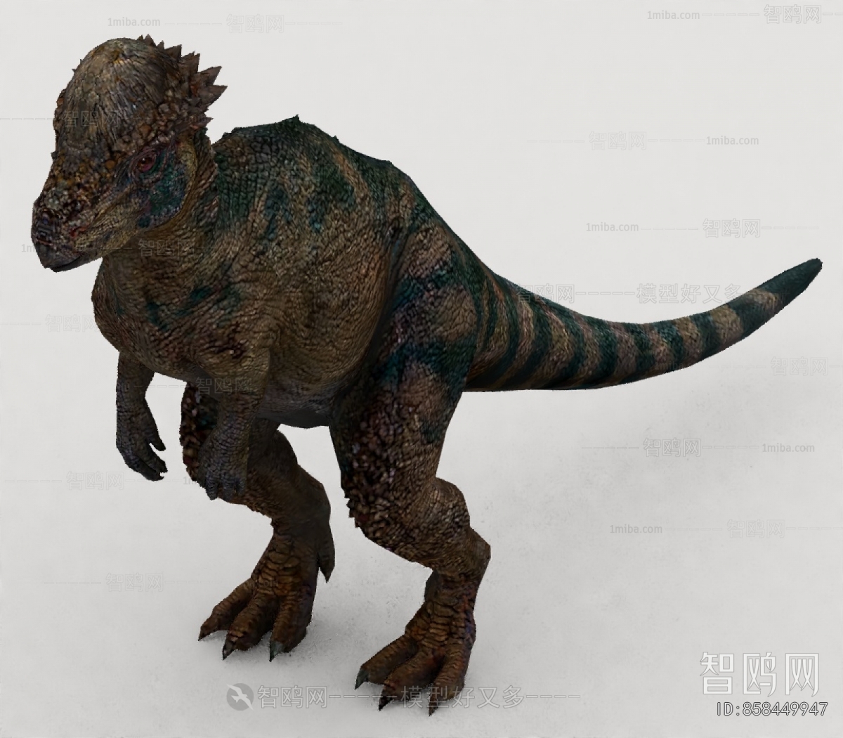 Modern Other Animals