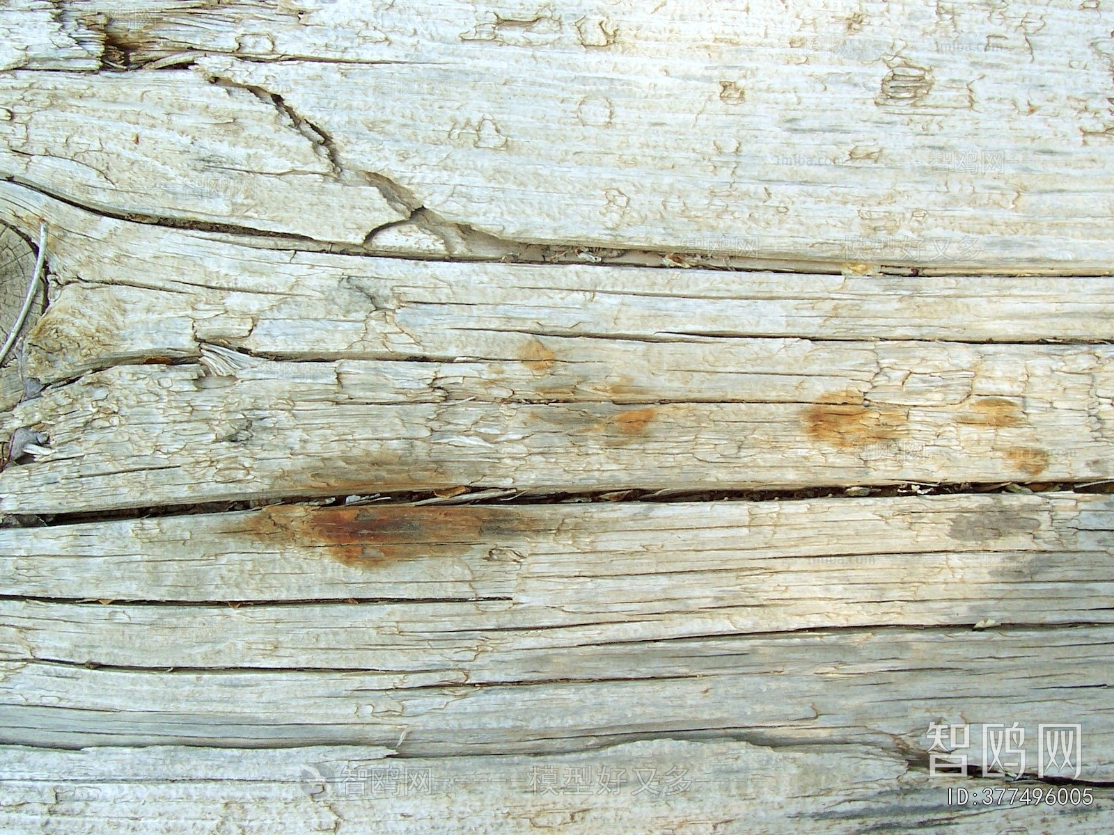 Bark Texture