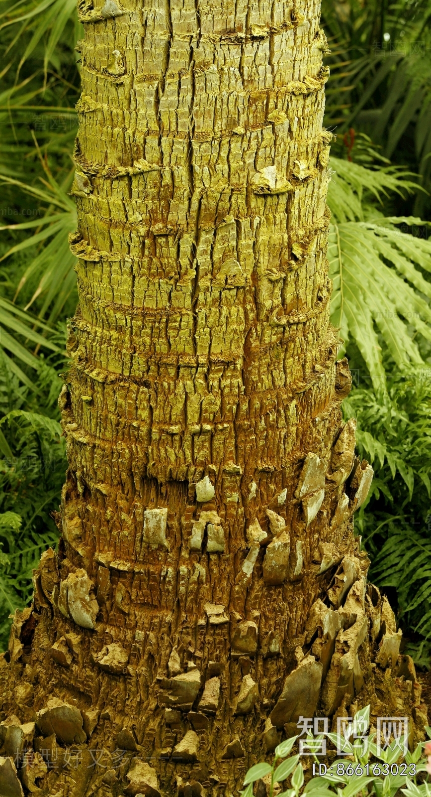 Bark Texture