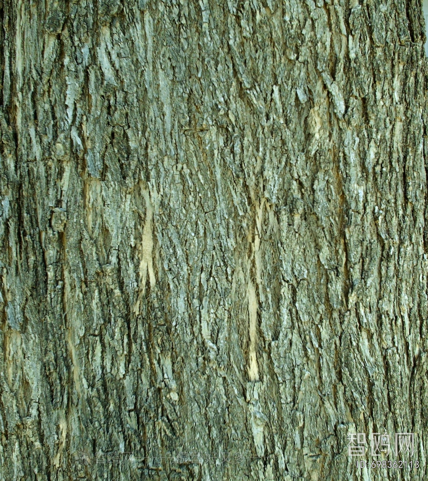 Bark Texture