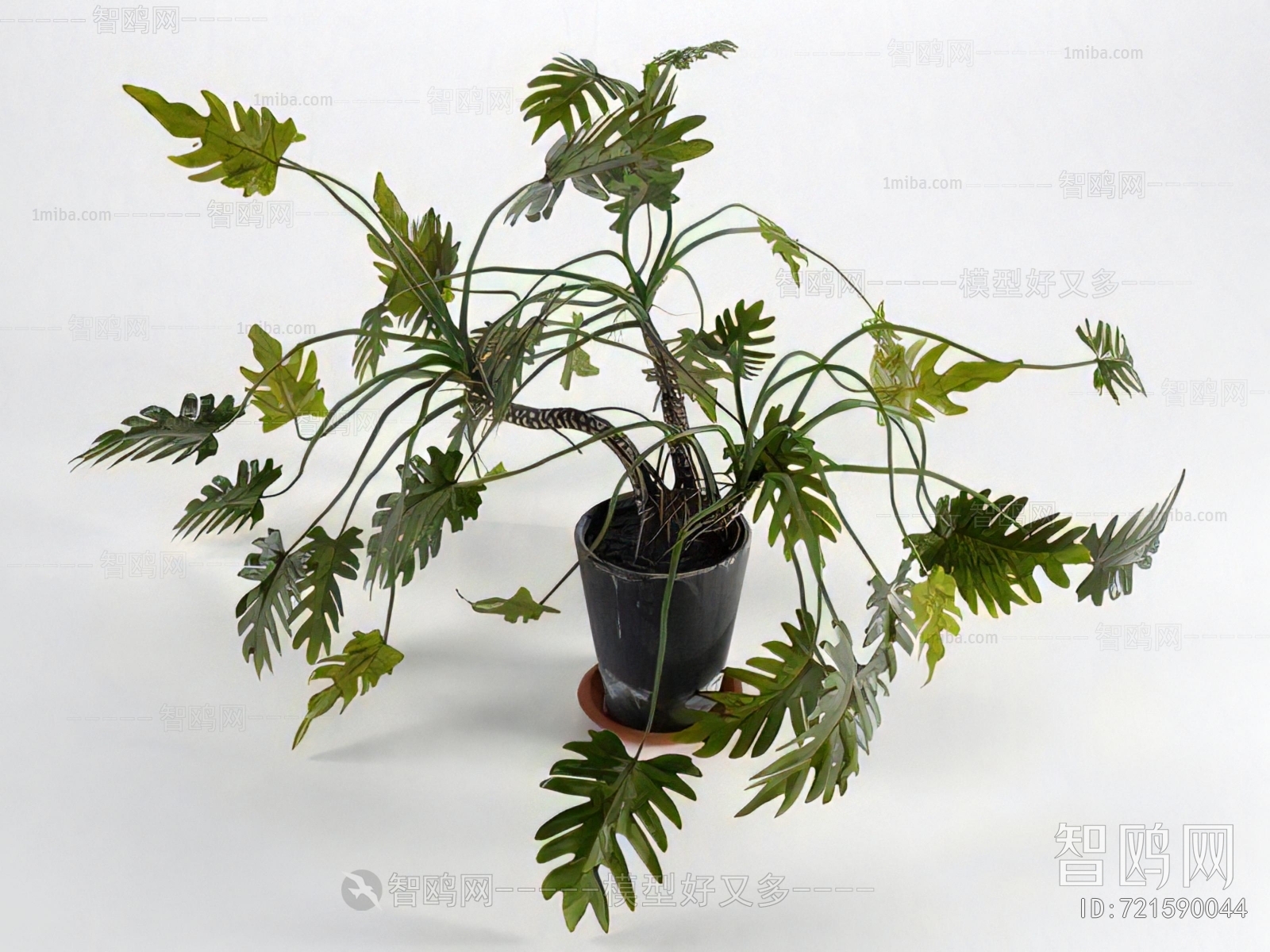 Modern Ground Green Plant Potted Plants