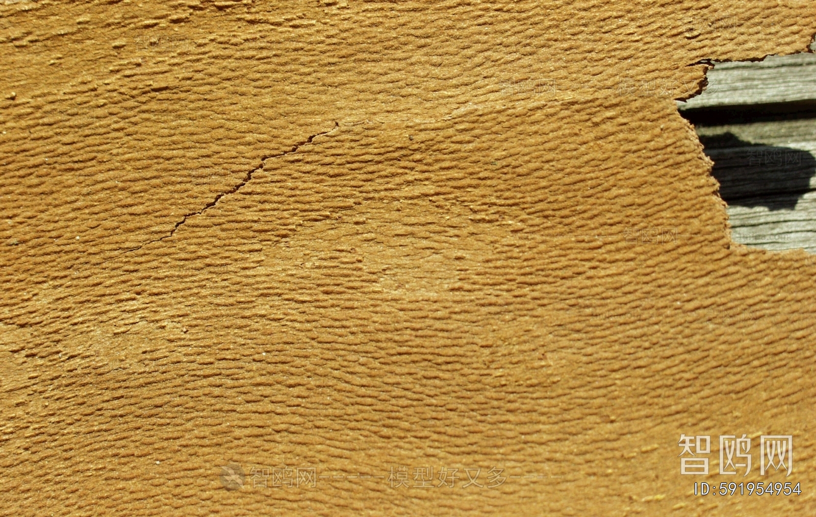 Bark Texture