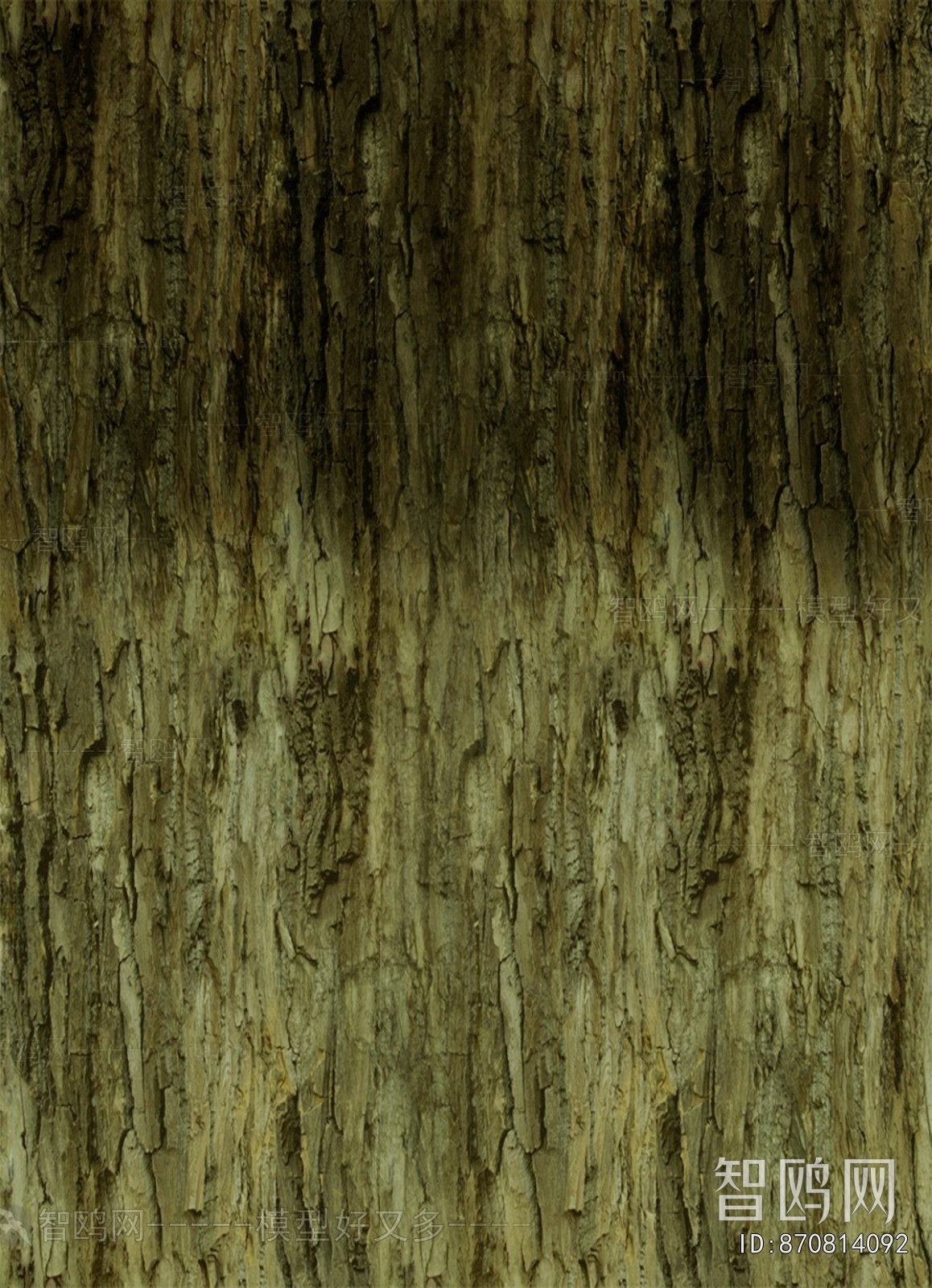 Bark Texture