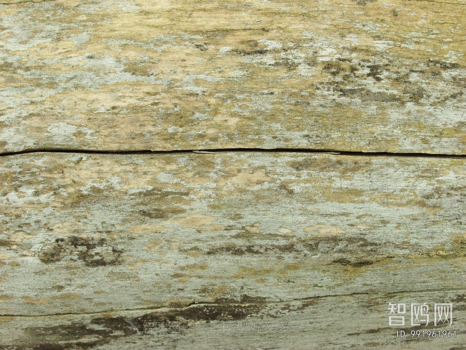 Bark Texture