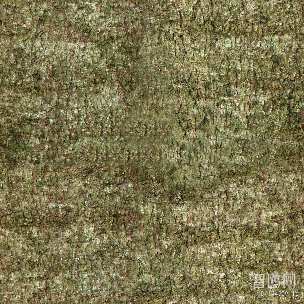 Bark Texture