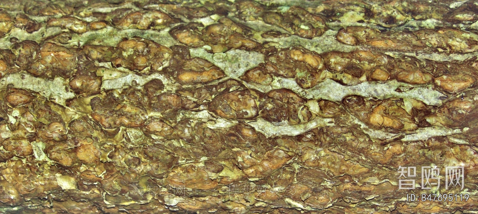 Bark Texture