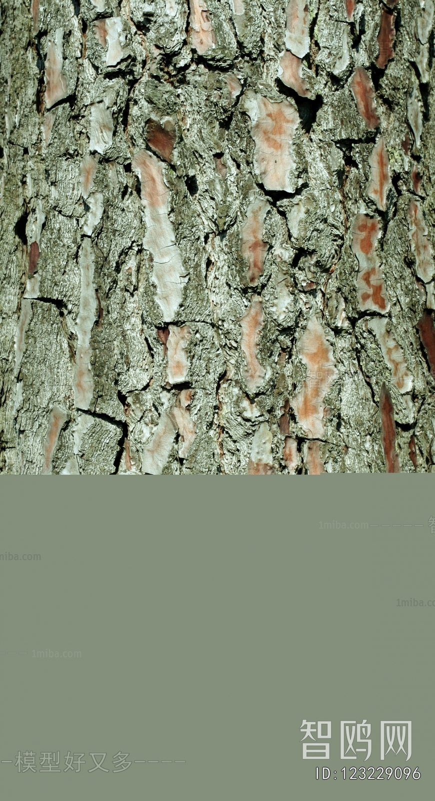 Bark Texture