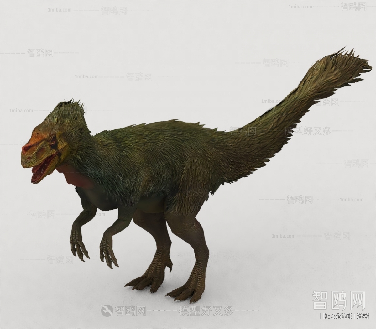 Modern Other Animals