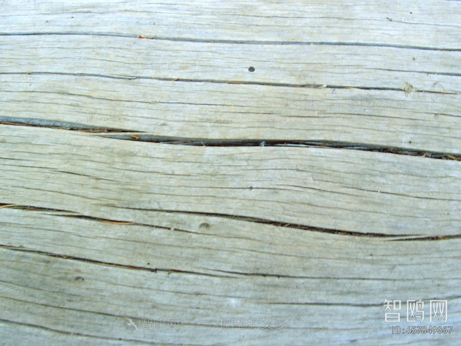 Bark Texture