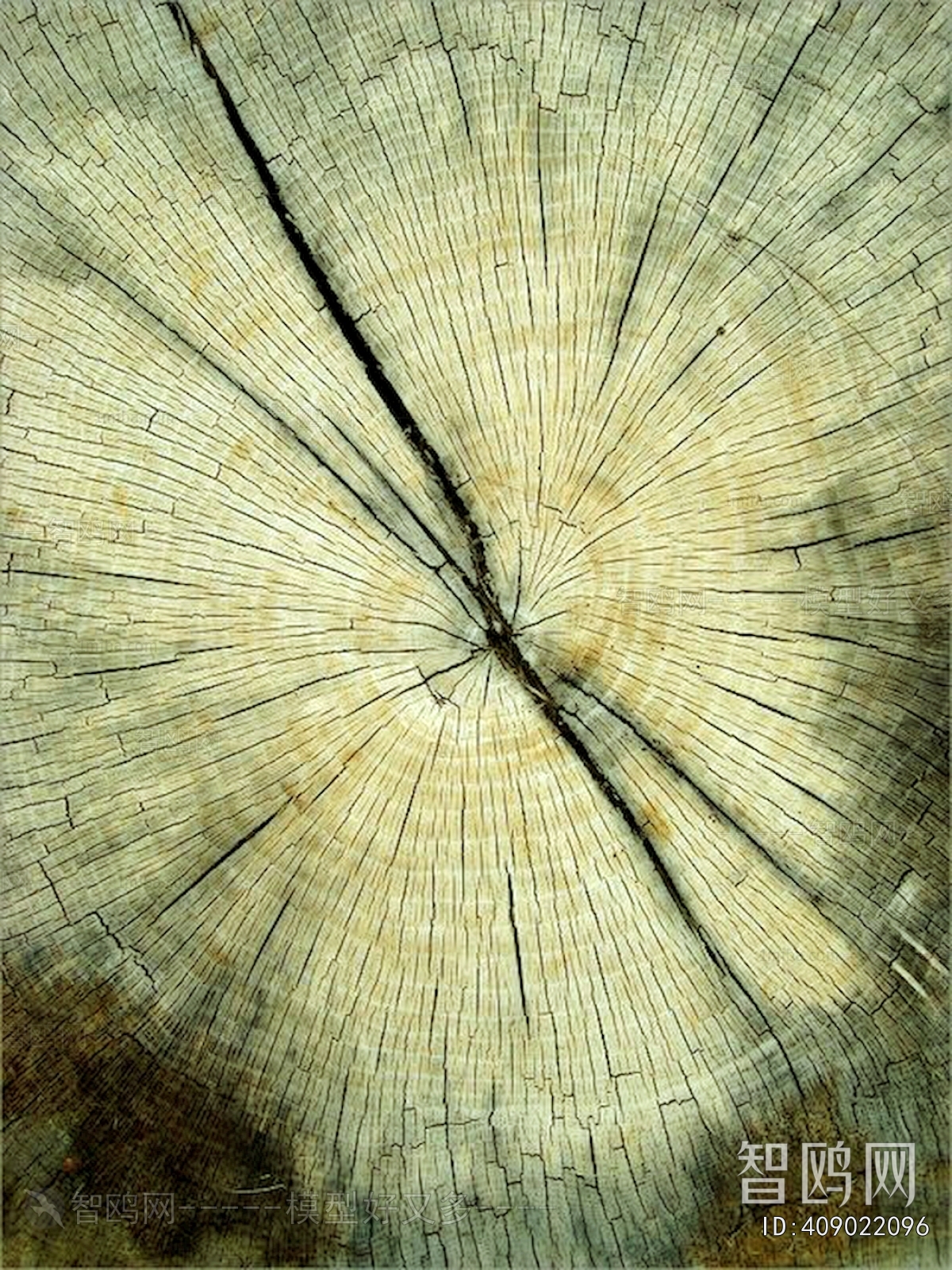 Old Wood Texture