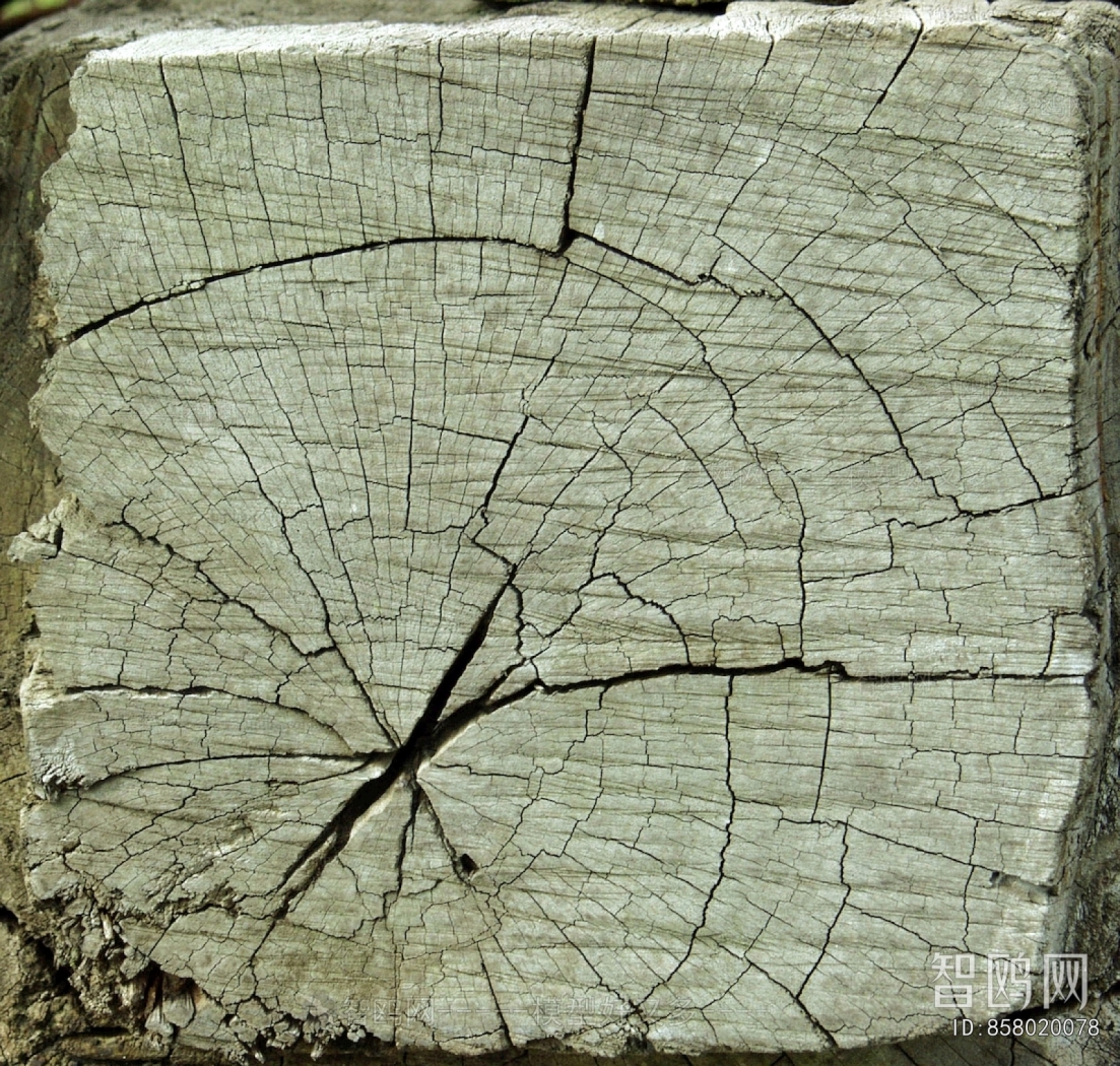 Old Wood Texture
