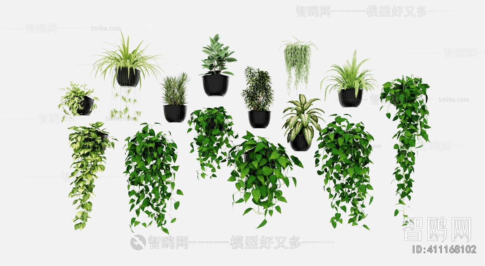 Modern Potted Green Plant