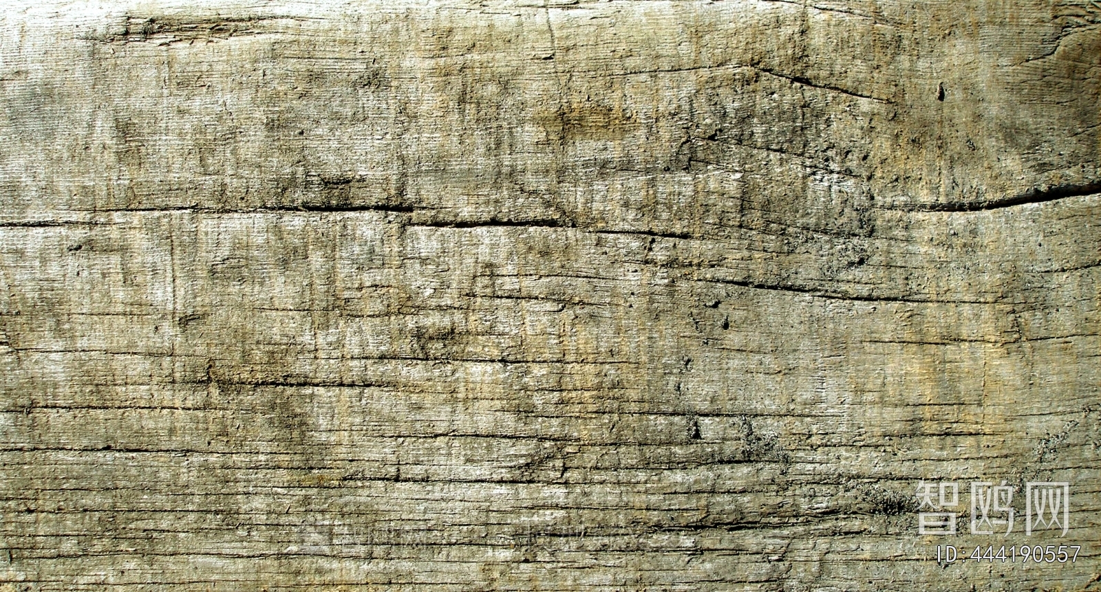 Old Wood Texture