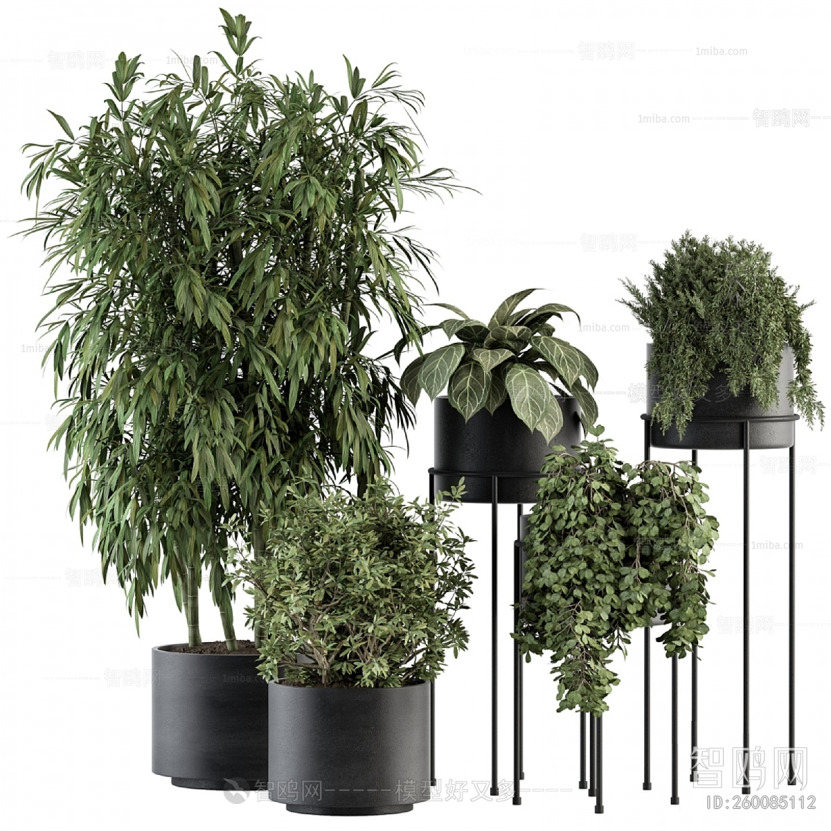 Modern Ground Green Plant Potted Plants