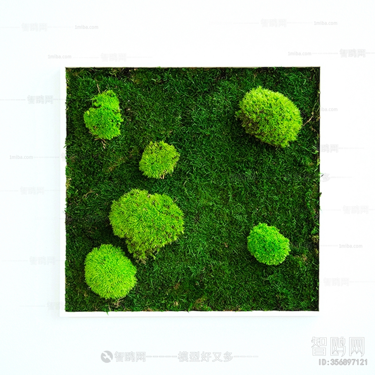 植物墙绿植墙