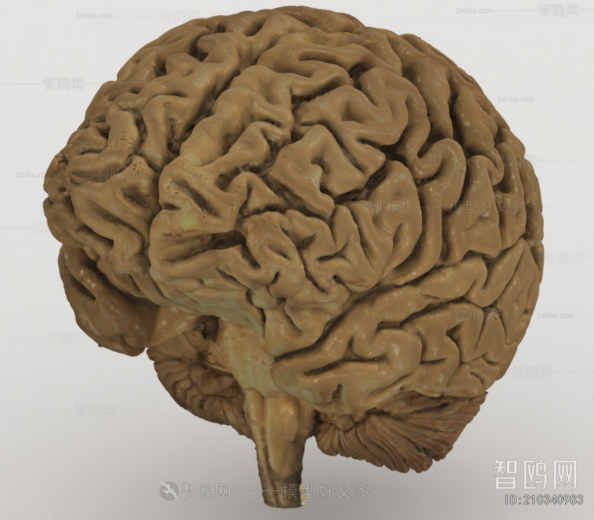 Modern Medical Equipment