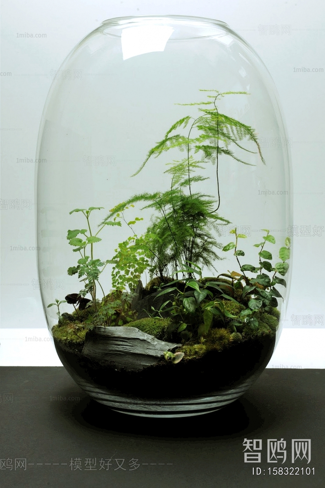 植物墙绿植墙