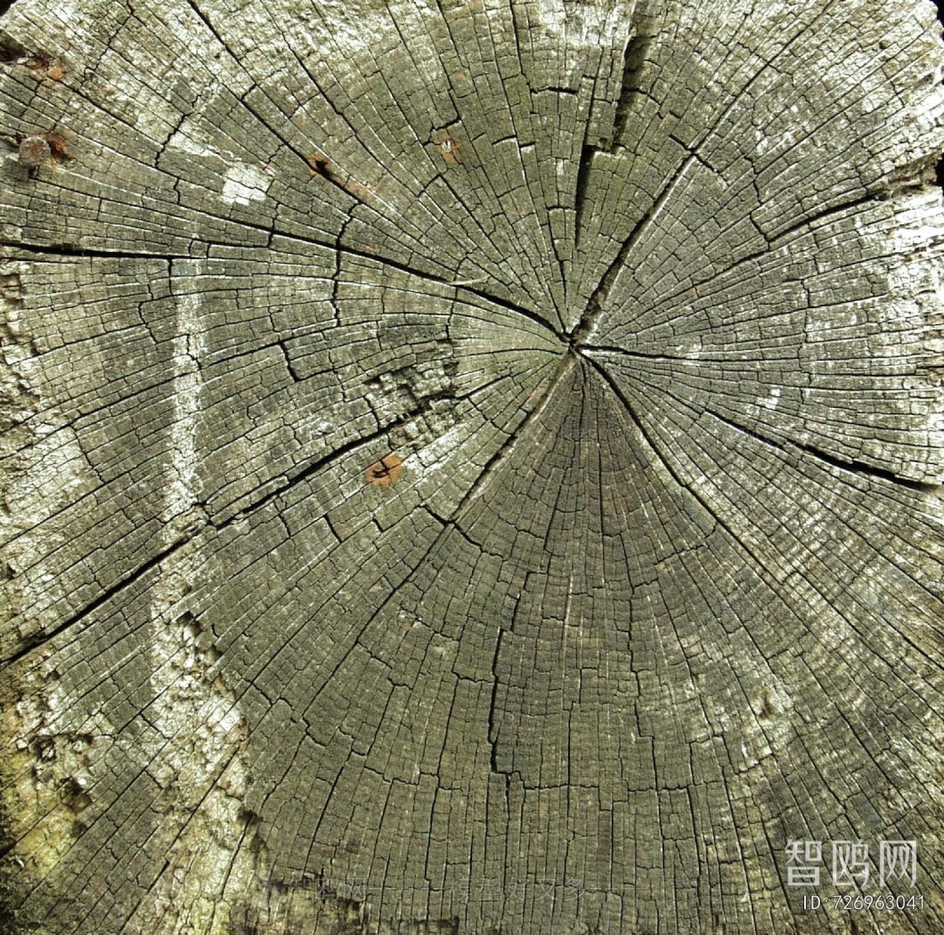 Old Wood Texture