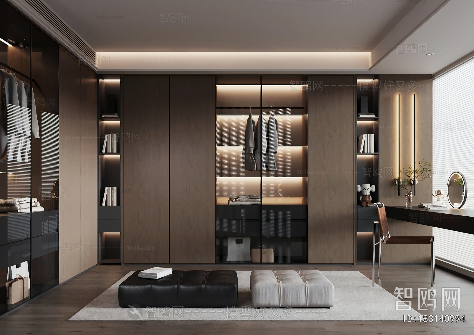 Modern Clothes Storage Area