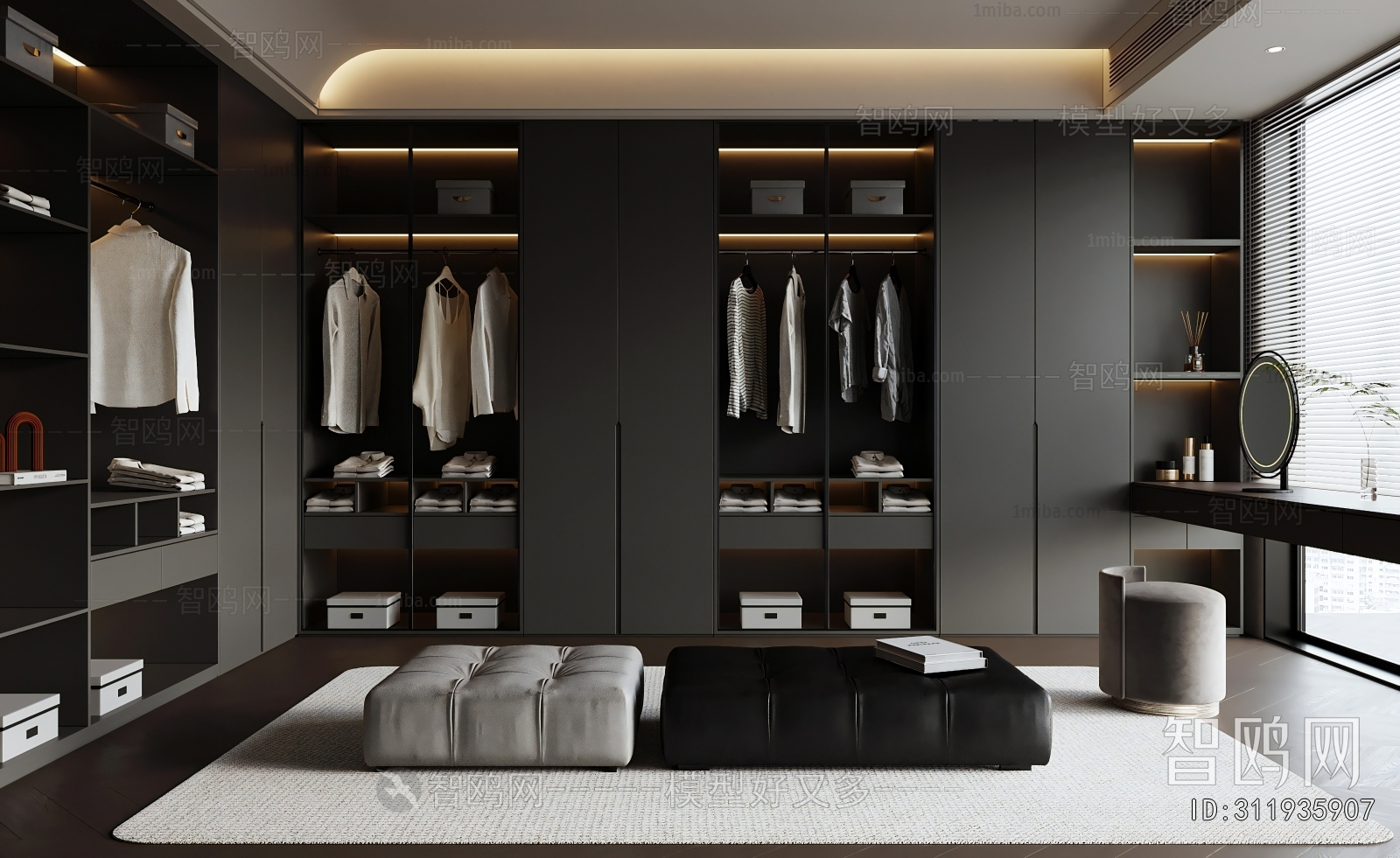 Modern Clothes Storage Area