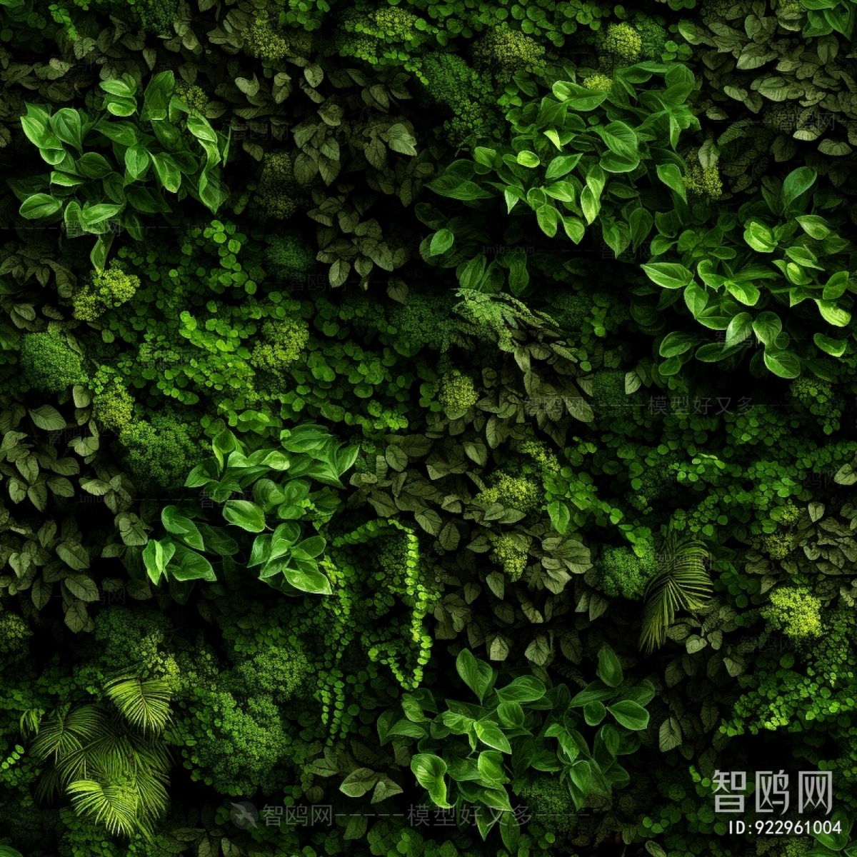 植物墙绿植墙
