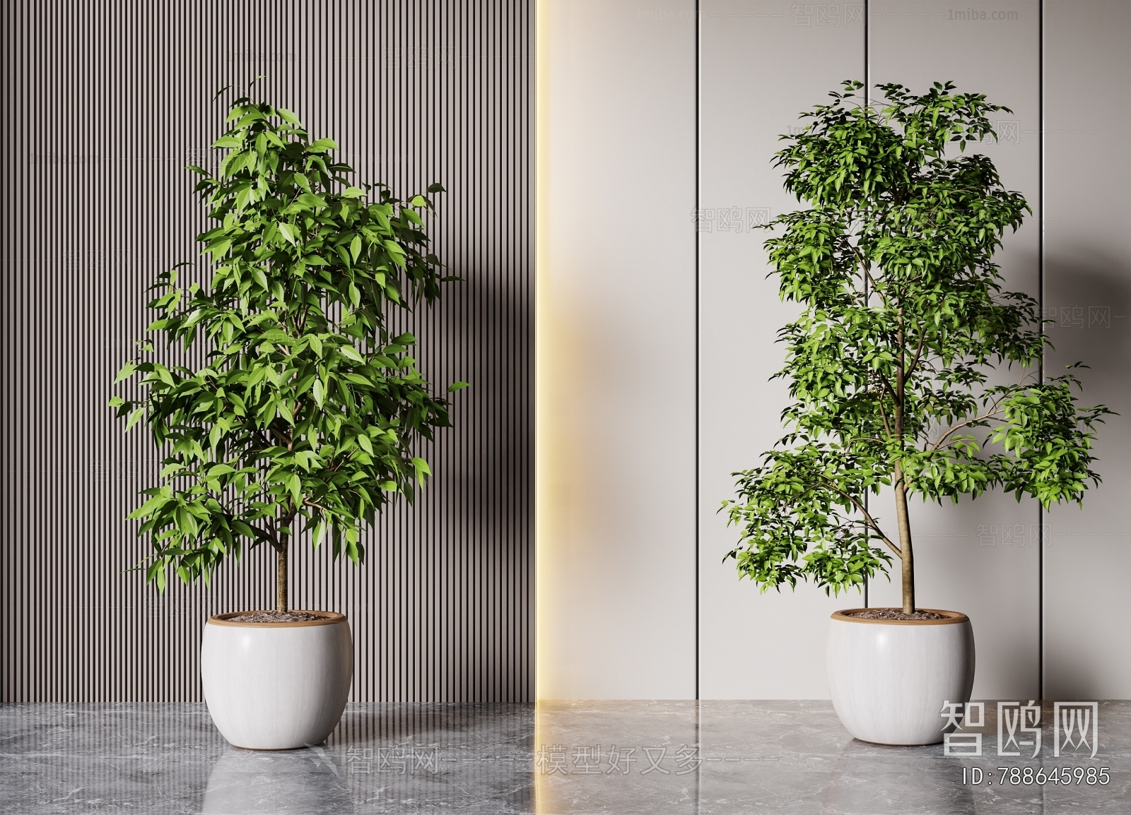 Modern Ground Green Plant Potted Plants