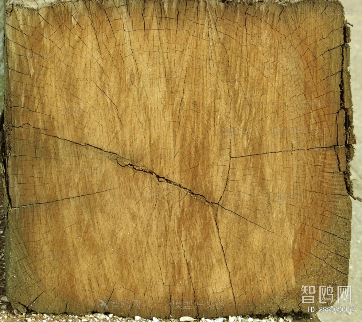 Old Wood Texture