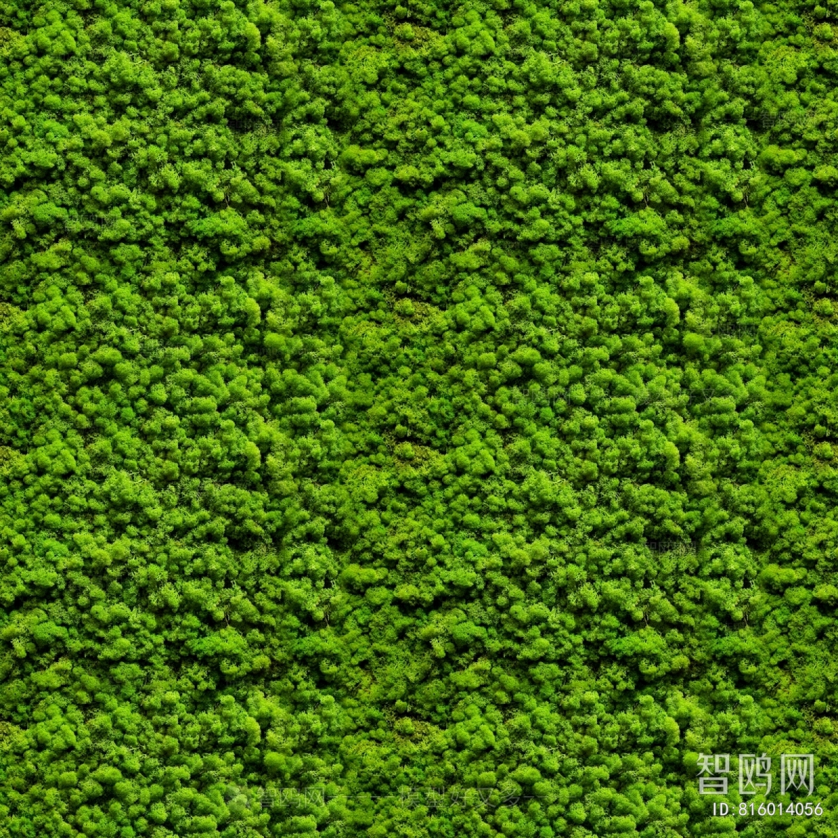 植物墙绿植墙
