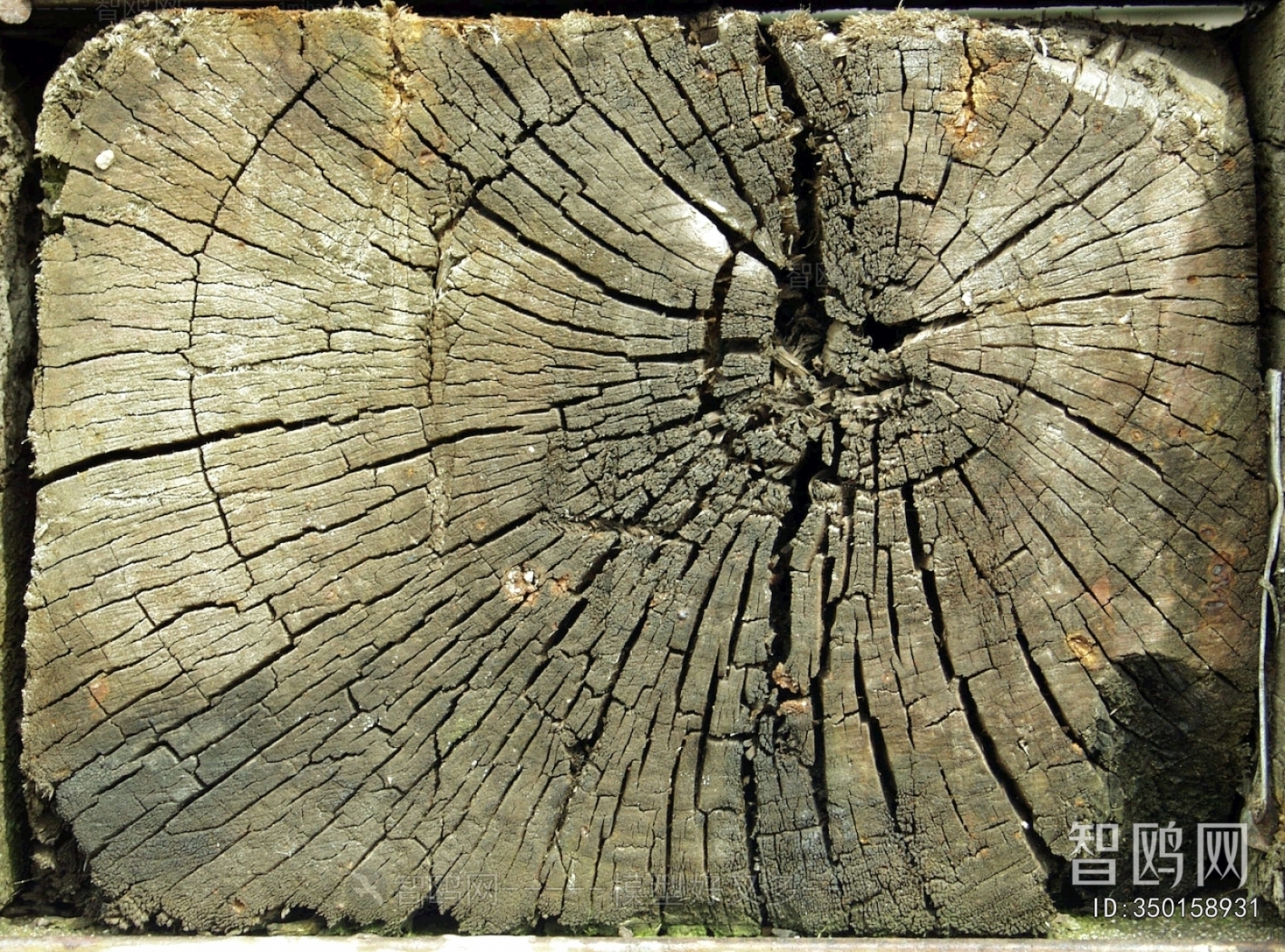 Old Wood Texture