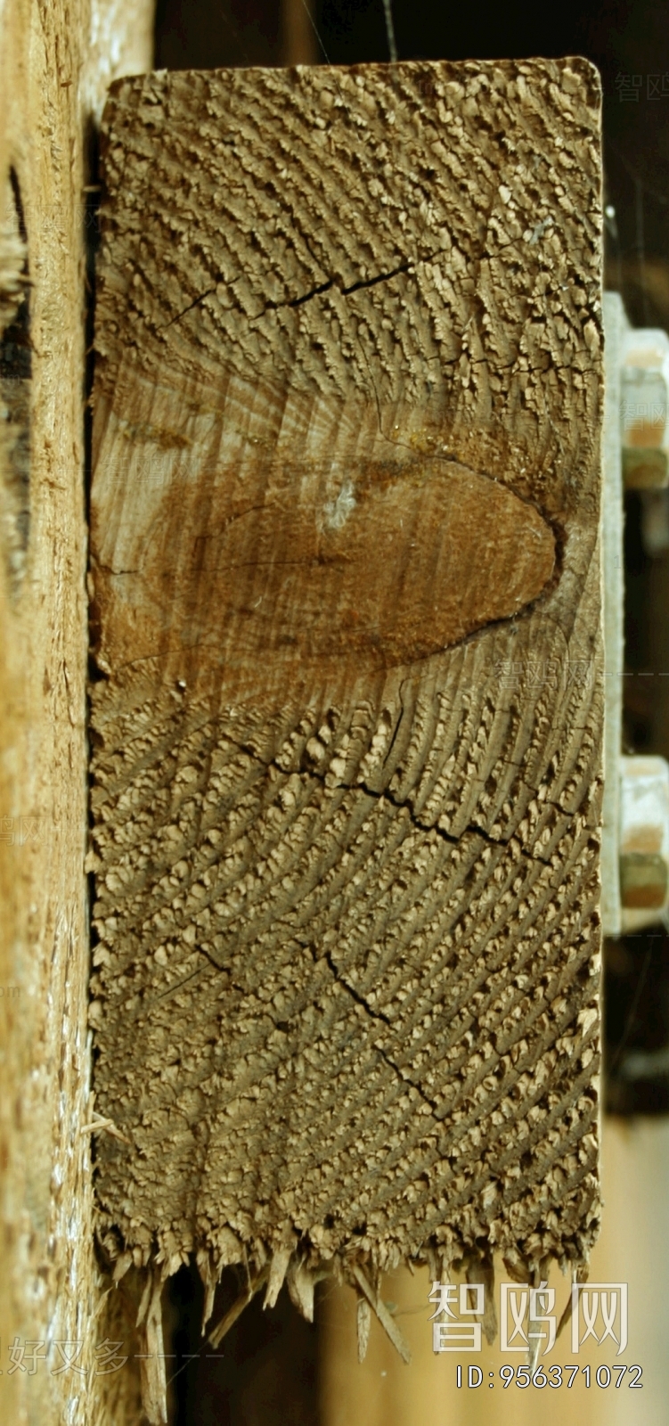 Old Wood Texture