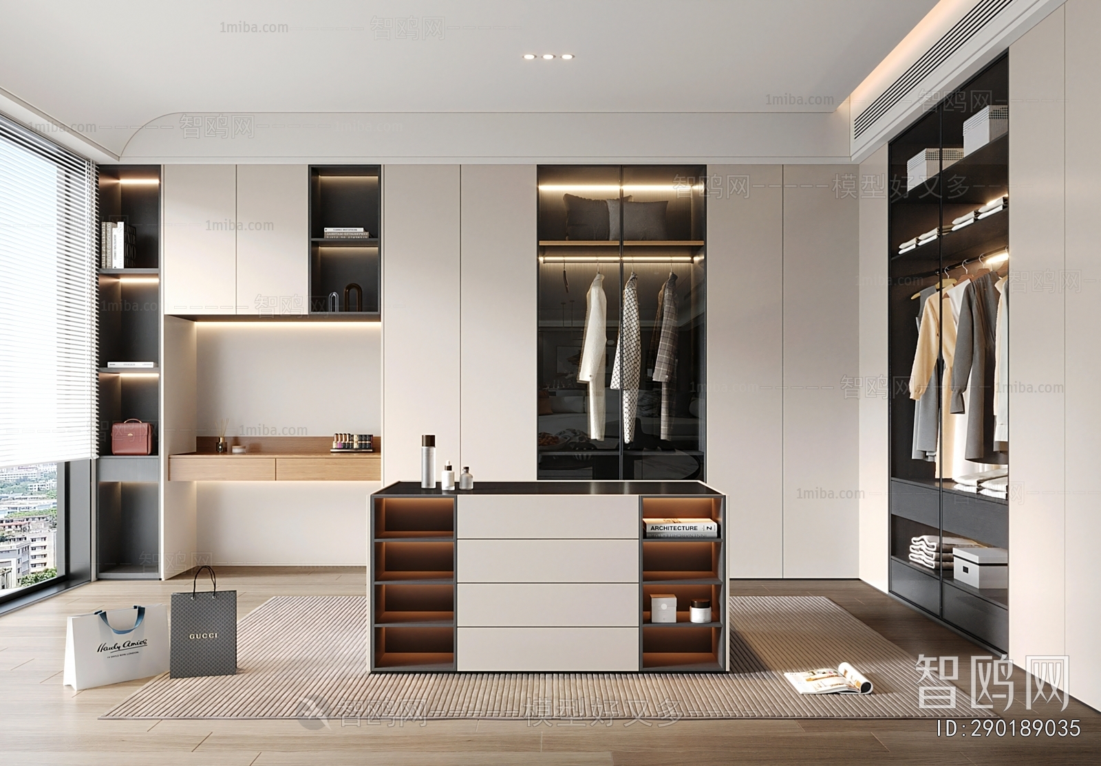 Modern Clothes Storage Area