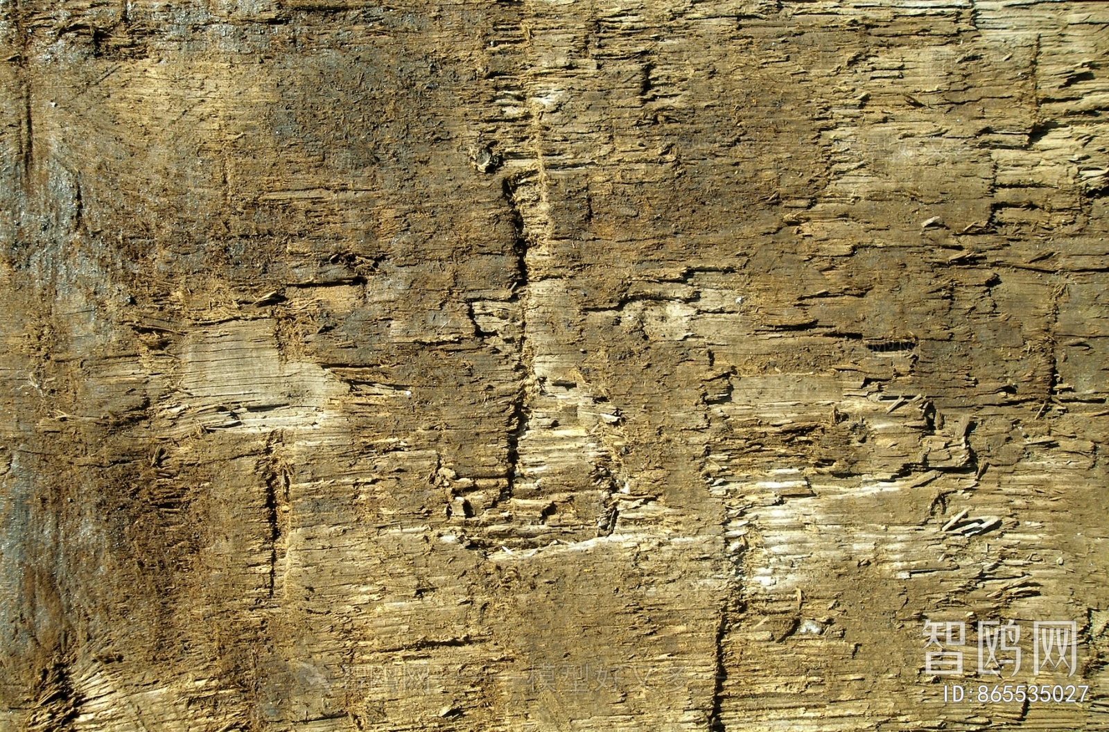 Old Wood Texture