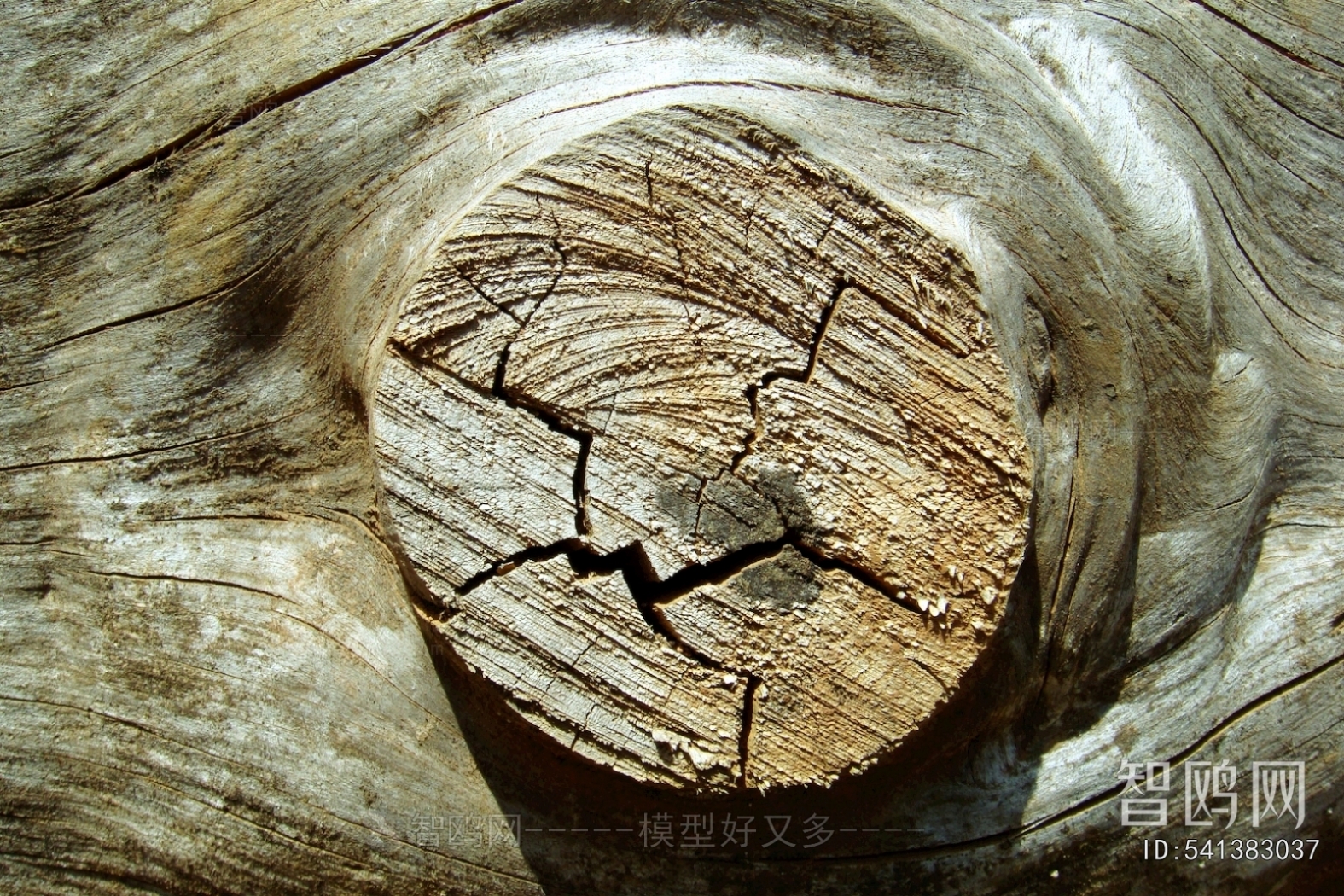 Old Wood Texture