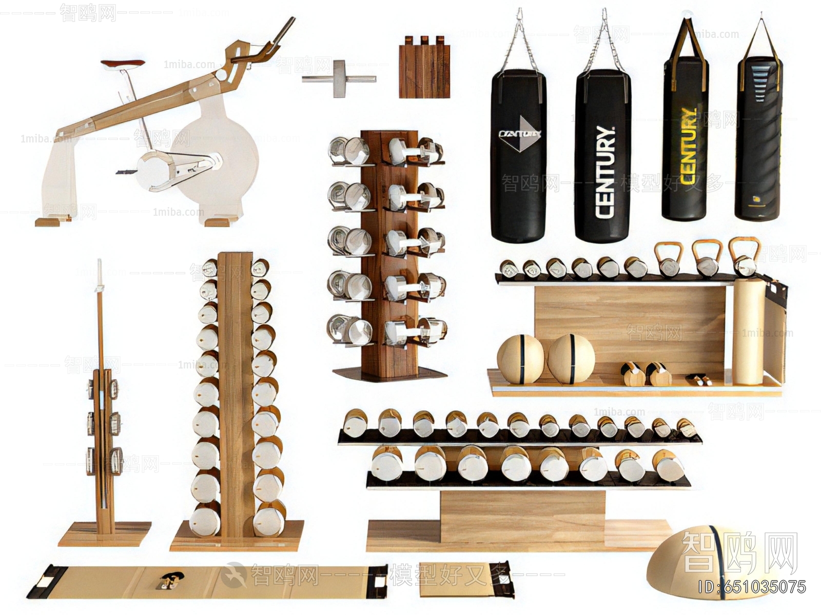 Modern Fitness Equipment