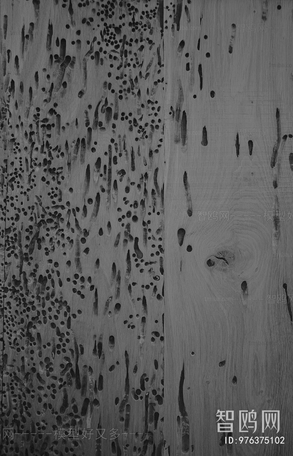 Old Wood Texture