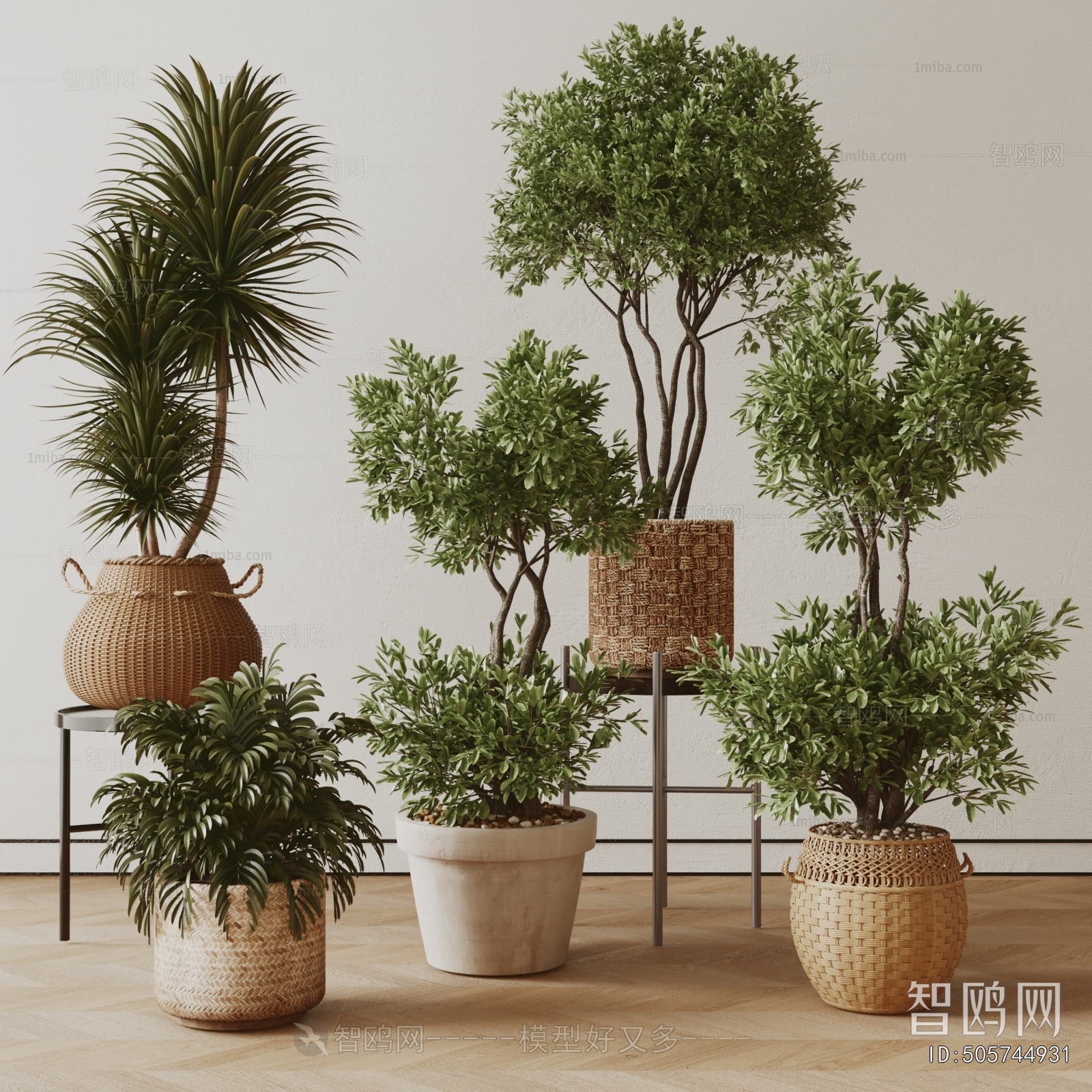 Modern Ground Green Plant Potted Plants