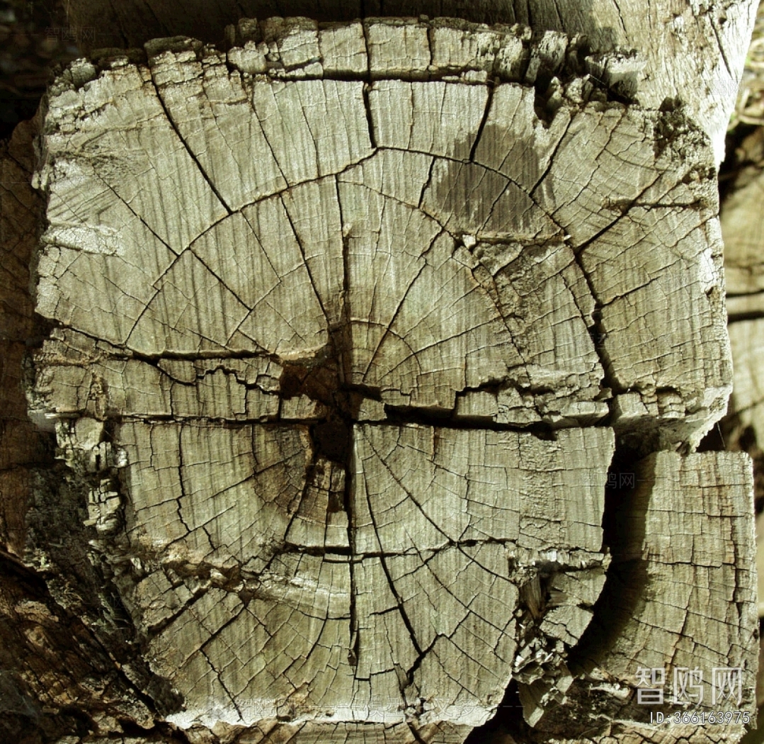 Old Wood Texture