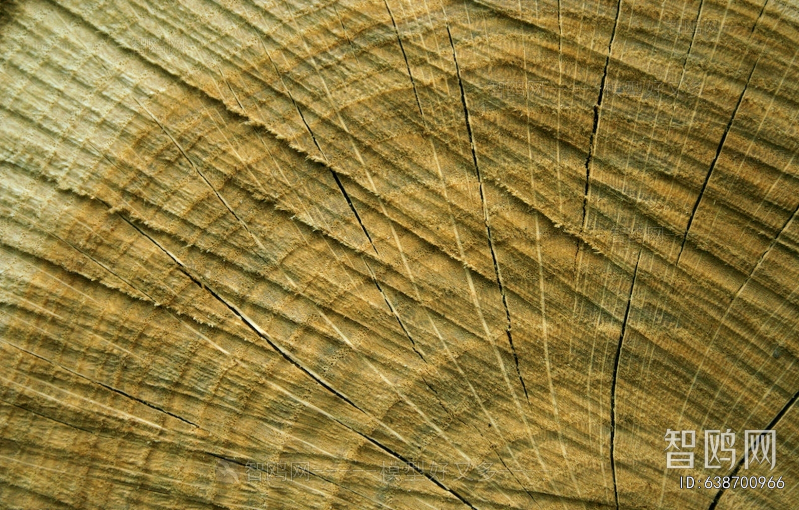 Old Wood Texture