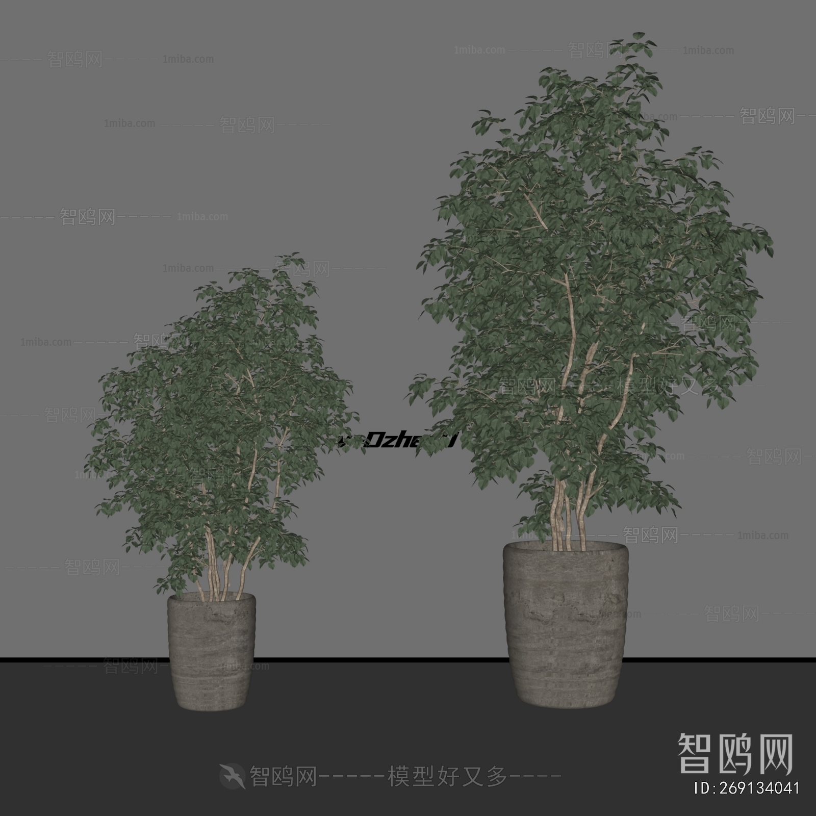 Modern Ground Green Plant Potted Plants